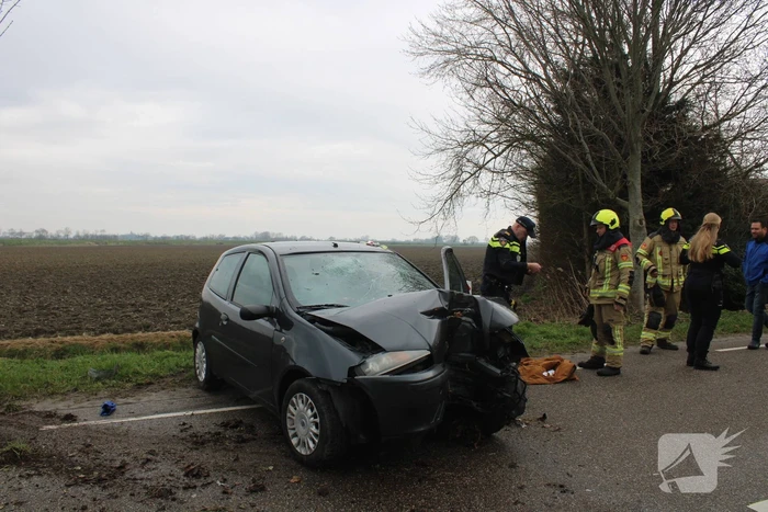 Automobilist botst tegen boom
