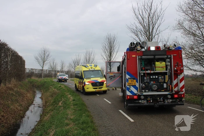 Automobilist botst tegen boom