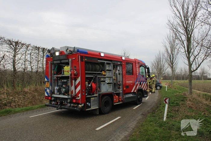 Automobilist botst tegen boom