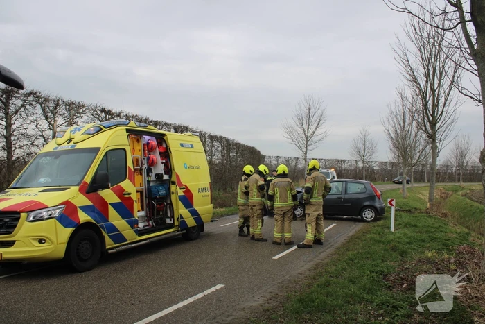 Automobilist botst tegen boom