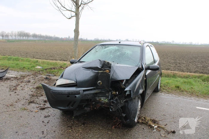 Automobilist botst tegen boom