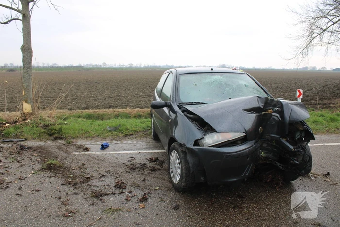 Automobilist botst tegen boom