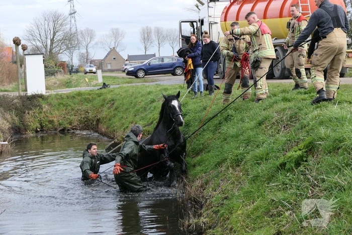 nieuws scheitweekseweg oostvoorne