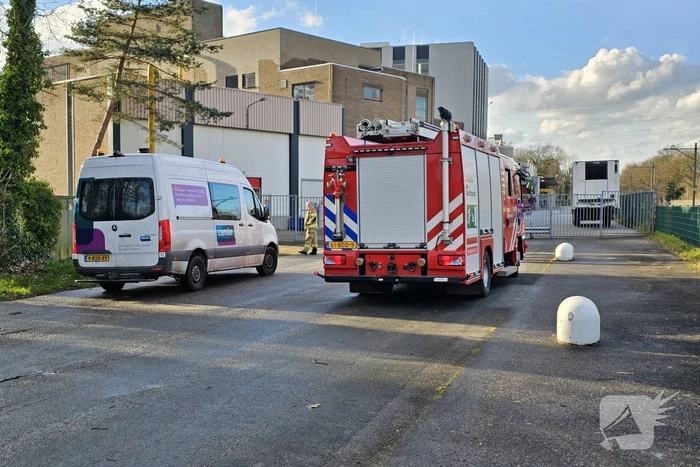 milieu nizolaan ede