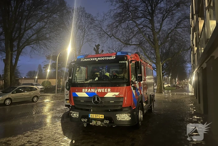 Vogels vast in buis van flatgebouw
