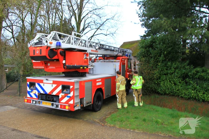 Kraai vast in schoorsteen van woning