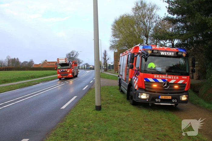 Kraai vast in schoorsteen van woning