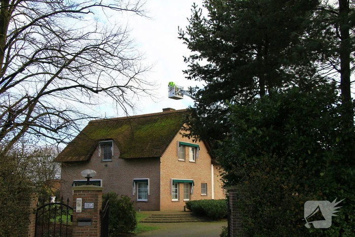 Kraai vast in schoorsteen van woning