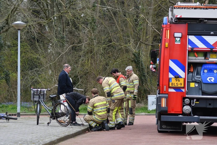 Brandweer redt twee padden uit rioolput