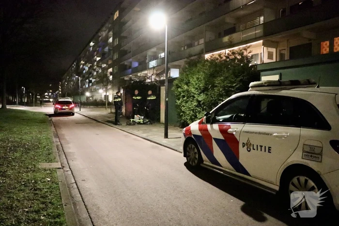 nieuws maansteenpad leiden