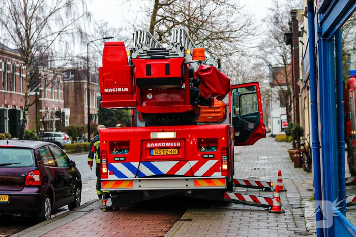 Grote zak vast in boom