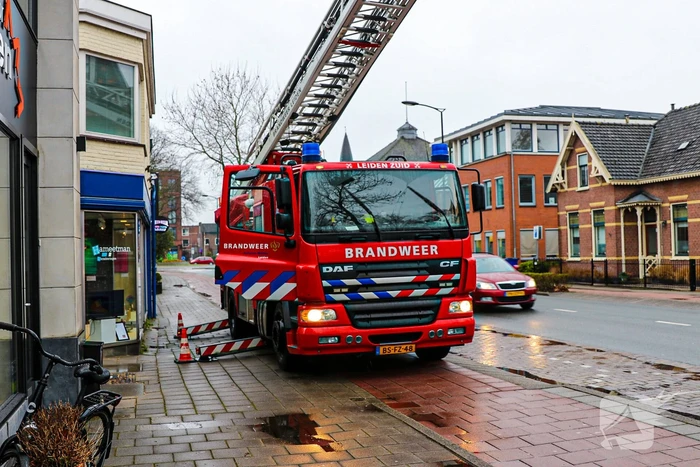 Grote zak vast in boom