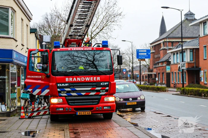 Grote zak vast in boom