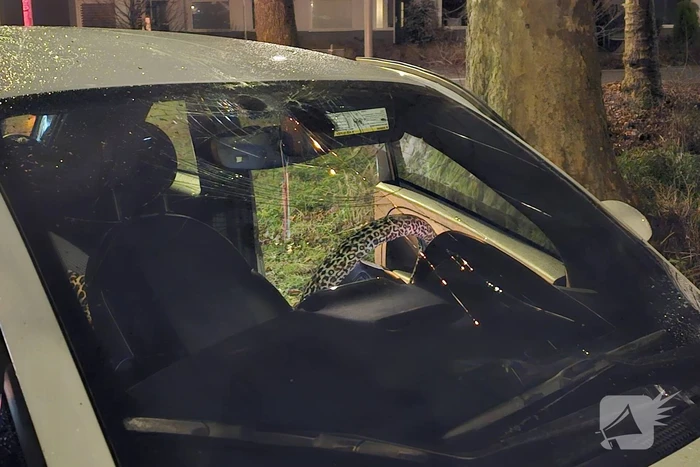 Fiets breekt doormidden bij botsing met auto