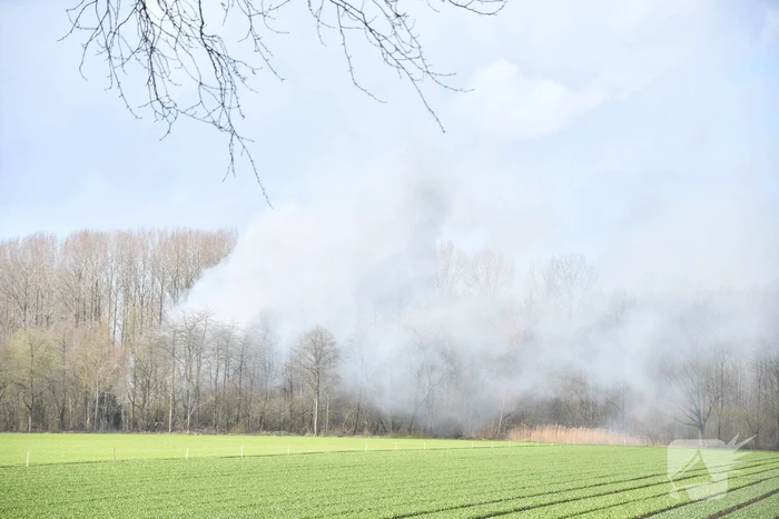 Flinke rookontwikkeling bij brand in bosgebied