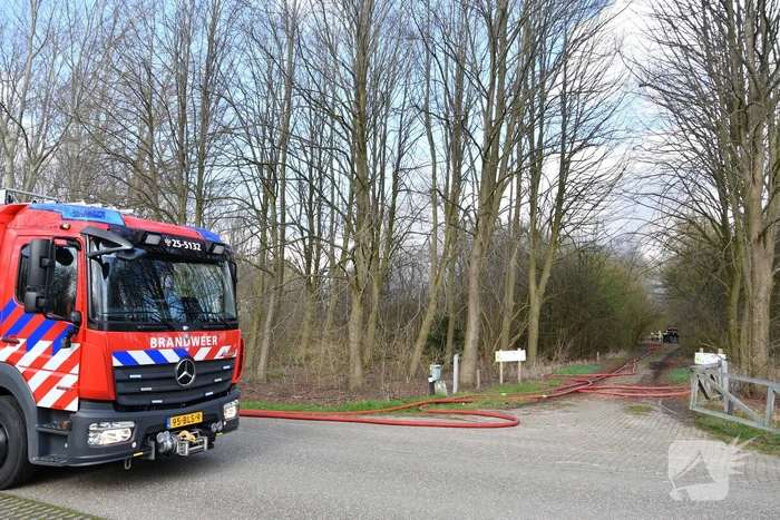 Flinke rookontwikkeling bij brand in bosgebied