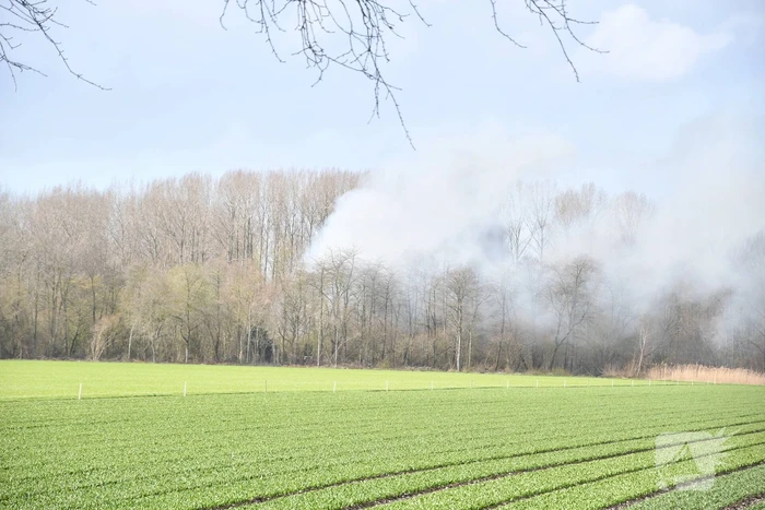 Flinke rookontwikkeling bij brand in bosgebied