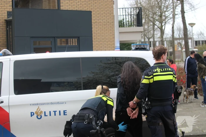 Politie trekt vuurwapen bij aanhoudingen na steekpartij