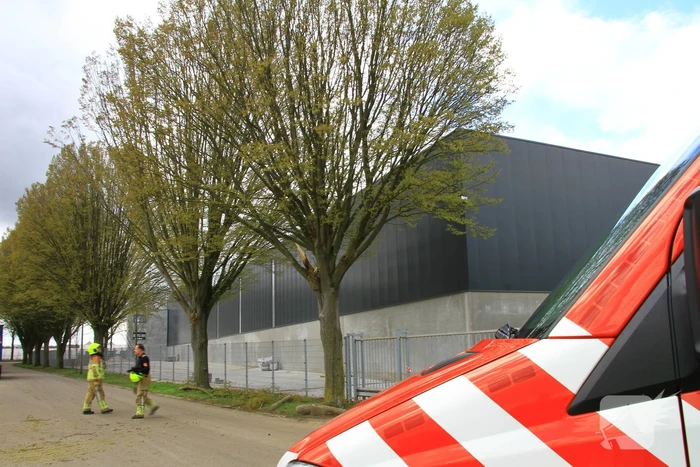 Grote tak breekt uit boom en belandt op weg