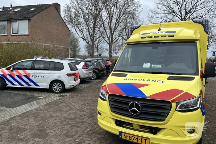 steekincident merelsingel strijen
