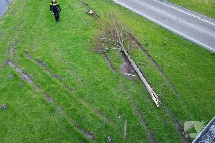 Auto botst op lantaarnpaal en boom
