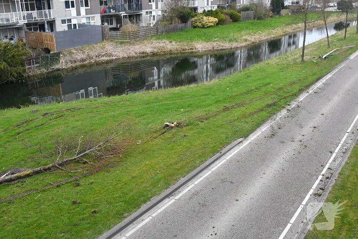 Auto botst op lantaarnpaal en boom