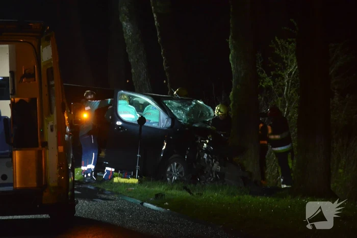 Bestuurder van bestelbus eindigt tegen boom