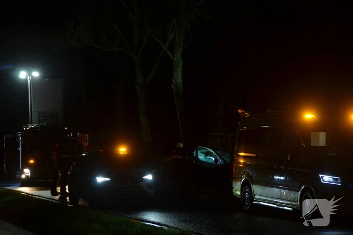 Bestuurder van bestelbus eindigt tegen boom