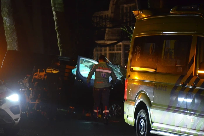 Bestuurder van bestelbus eindigt tegen boom