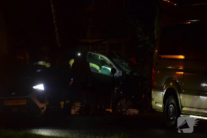 Bestuurder van bestelbus eindigt tegen boom