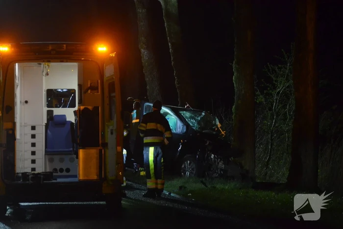 Bestuurder van bestelbus eindigt tegen boom