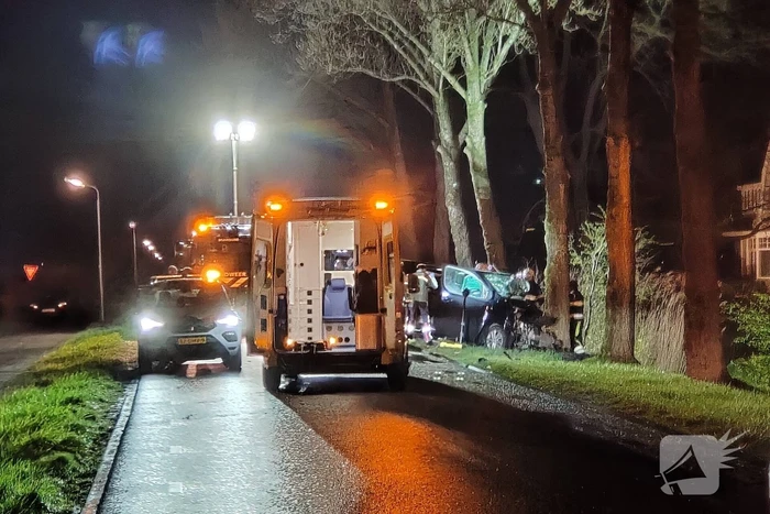 Bestuurder van bestelbus eindigt tegen boom