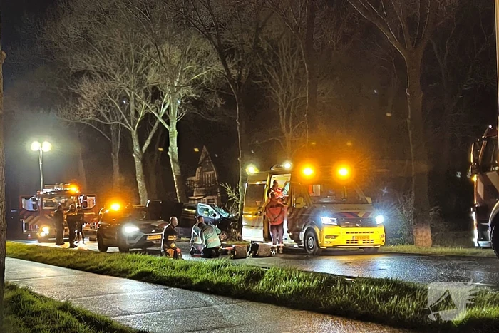 Bestuurder van bestelbus eindigt tegen boom
