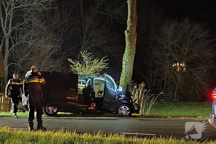 Bestuurder van bestelbus eindigt tegen boom