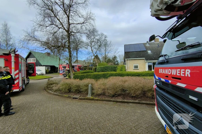 brand de boech menaam