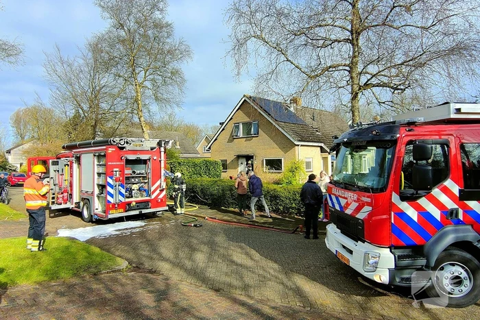 Kat beademd na felle brand