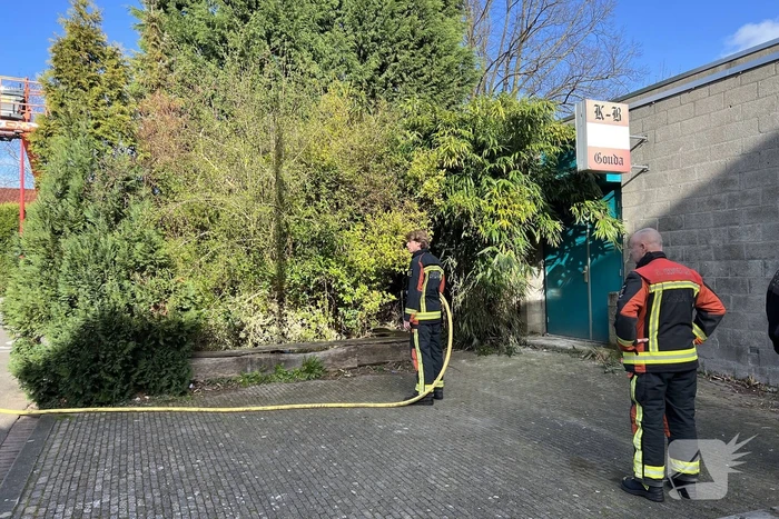 Egel gered bij brand in bosjes