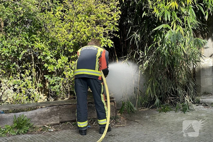 Egel gered bij brand in bosjes