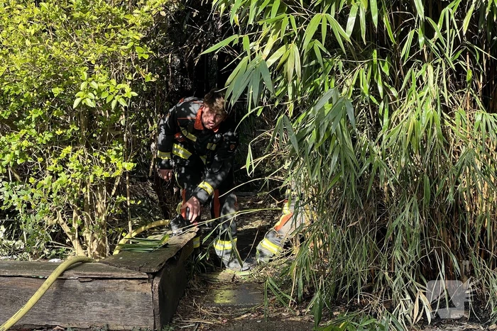 Egel gered bij brand in bosjes