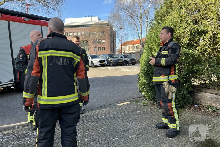 Egel gered bij brand in bosjes