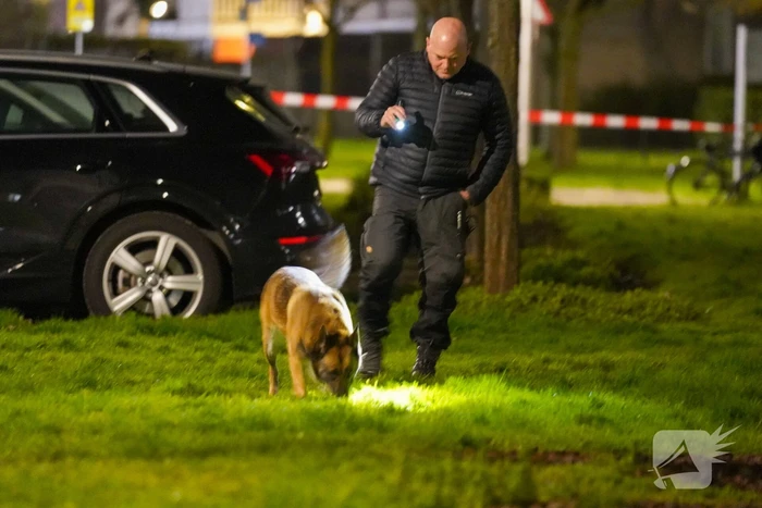 Flatwoning meerdere malen beschoten