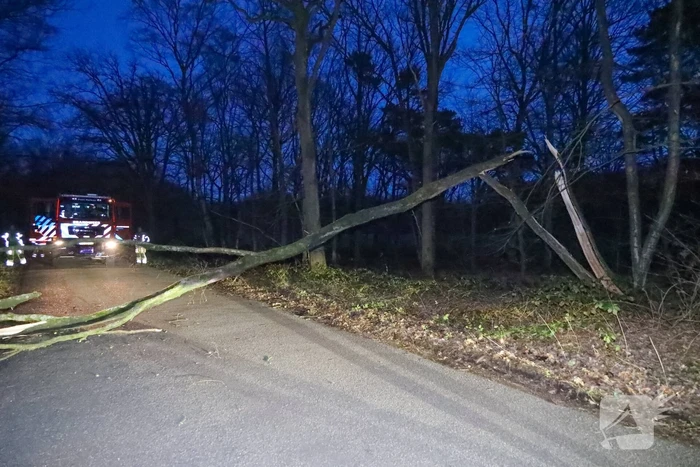 Geknakte boom verspert weg