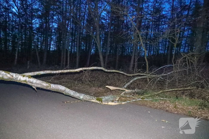 Geknakte boom verspert weg