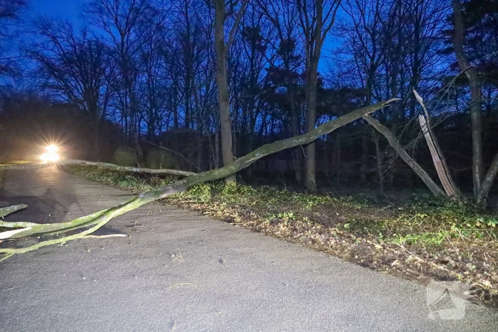 Geknakte boom verspert weg
