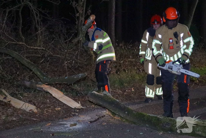 Geknakte boom verspert weg