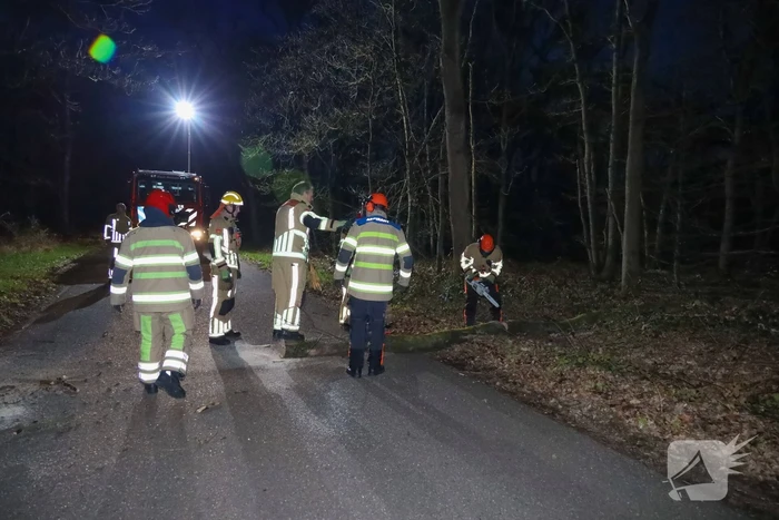 Geknakte boom verspert weg