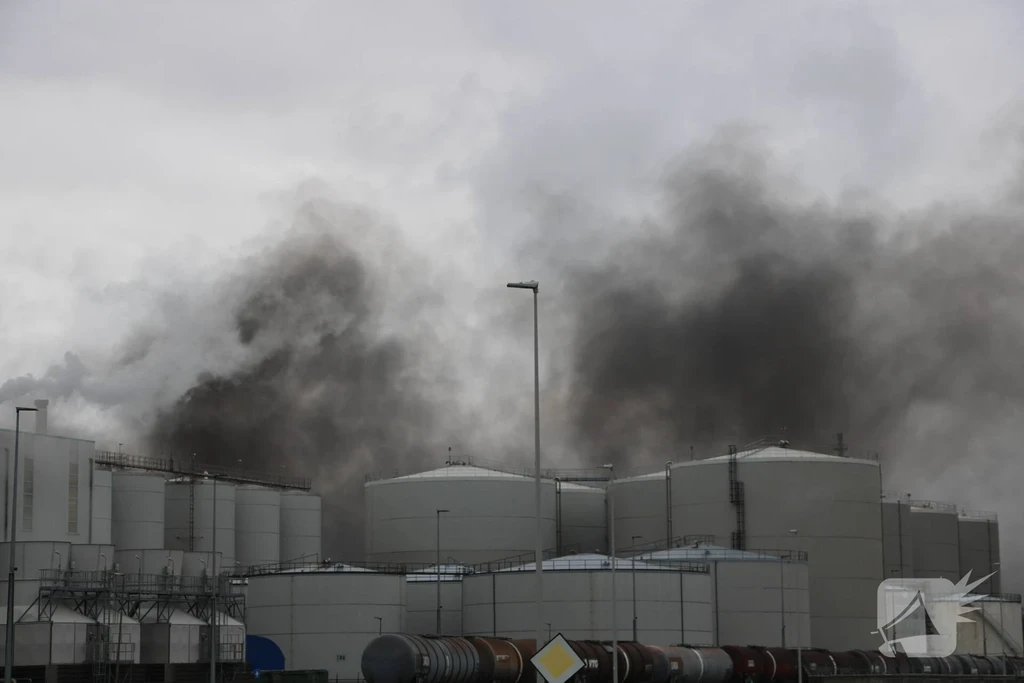 Vondelingenplaat Nieuws Rotterdam 
