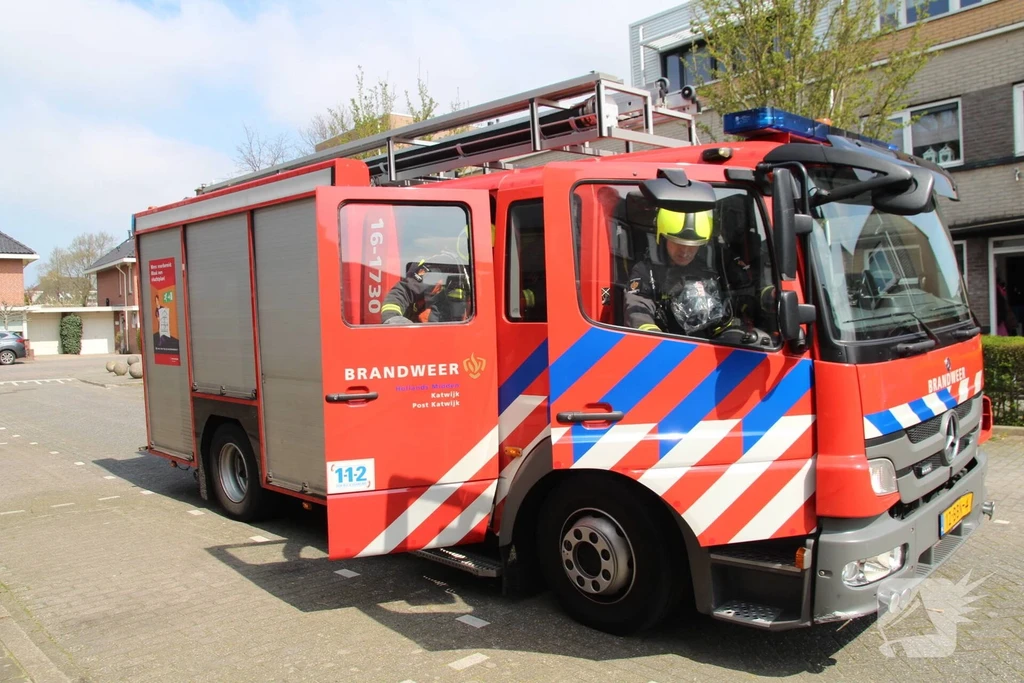 Zandblauwtje Nieuws Katwijk 
