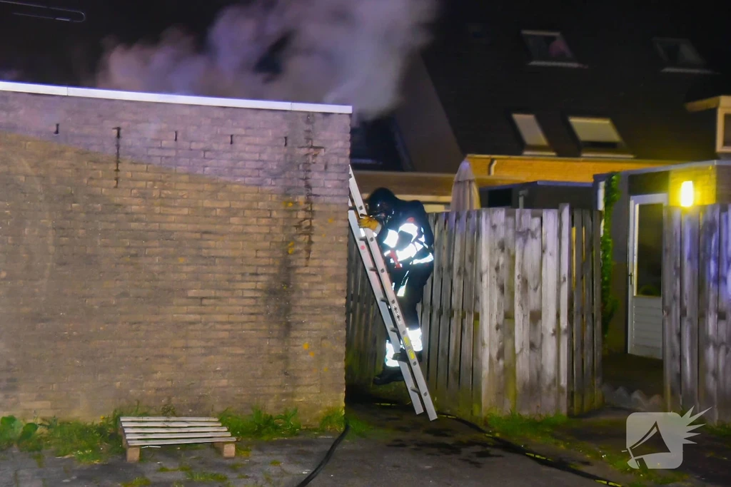 Fledermauspad Hoogvliet Rotterdam 112 