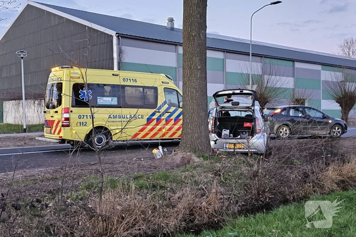 Automobilist gewond bij botsing met boom